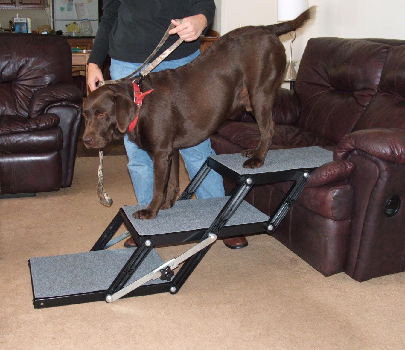 pet loader reviews