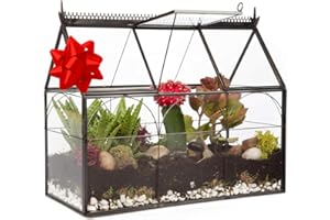 D'Eco Glass Greenhouse Centerpiece (10x4.5x9) - Tabletop Geometric Planter Terrarium - Fill with Succulents, Moss, Holiday Decorations, Mini Trees & Ornaments - Home Decor Xmas Gift for Plant Lovers