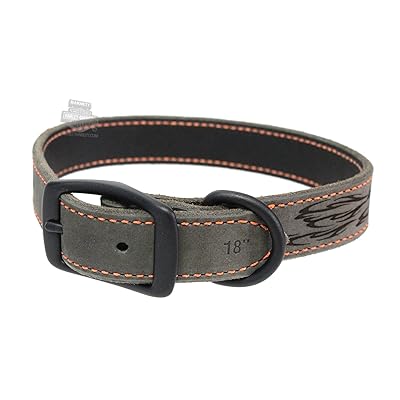 Rustic Leather Dog Collar with Harley Davidson Flame Jordan Ubuy