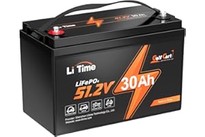 LiTime 48V 30Ah Lithium Golf Cart Battery, Built-in 60A BMS, 4000+ Cycles Rechargeable LiFePO4 Battery, 2C Discharge Support up to 2kW Motor, Max 3.07kW Power Output, Perfect for Golf Carts