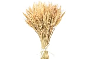 Uieke 17.7 Inches Dried Wheat Stalks, 100 Stems Dried Flowers 100% Natural Wheat for Home Kitchen Wedding Party Table Centerpiece Harvest Wreath Boho Farmhouse DIY Decoration