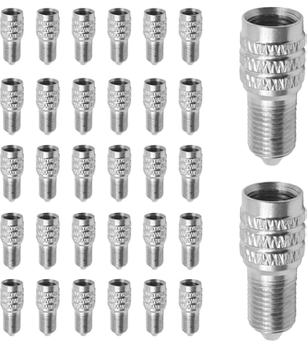 50pcs Double Seal Flow Inflate Through Valve Stem Tire Caps Car Truck Semi RV | Australia