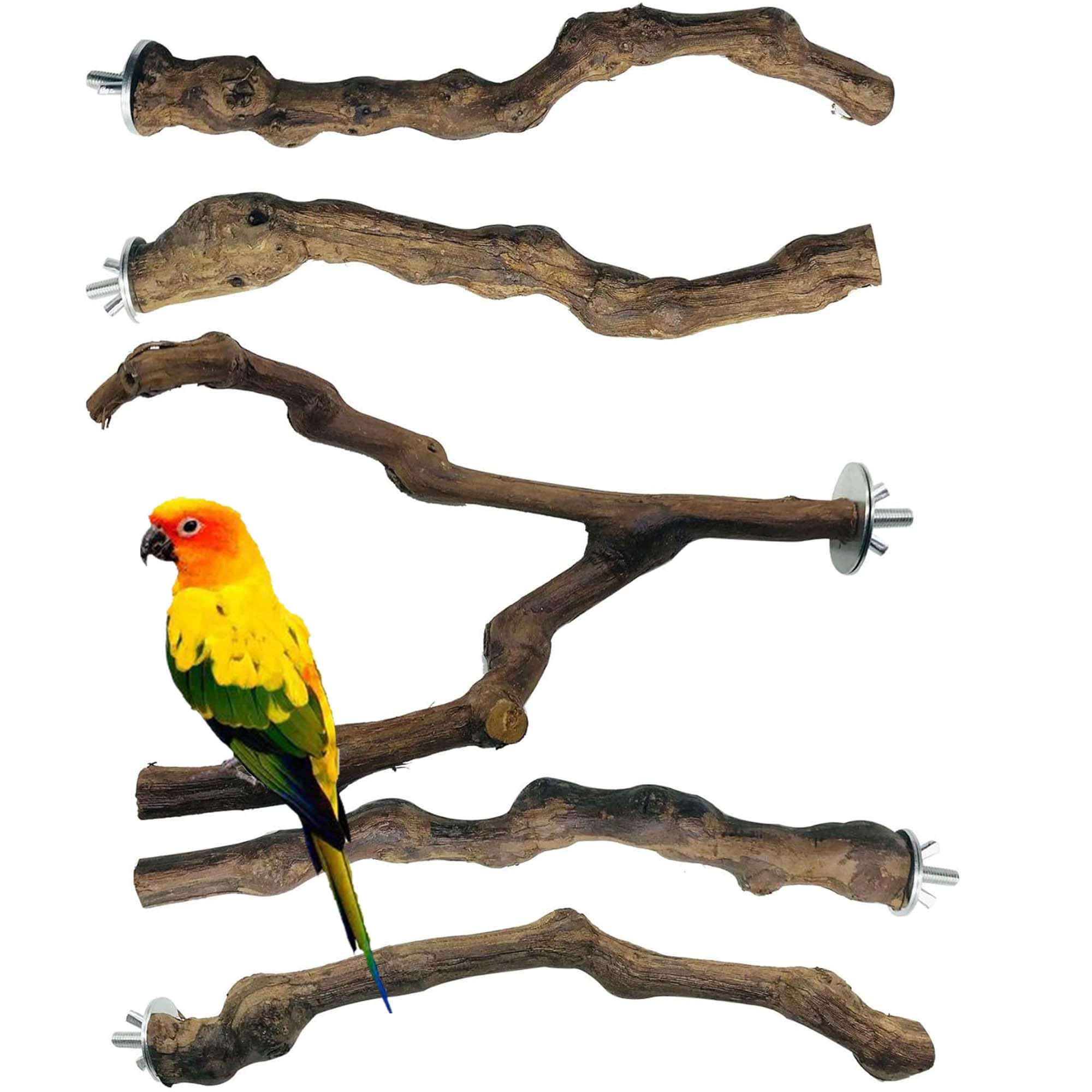 Allazone 5 PCS Bird Perch Natural Grape Stick Bird Standing Stick Swing Chewing Toys Natural Grapevine Cage Perch For Parrot Cages Toy for Cockatiels, Parakeets, Finches