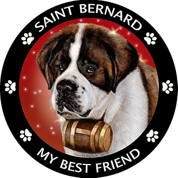 st bernard gifts