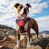 Joytale Reflective Dog Collar Medium Ultra Soft Neoprene Padded view 3