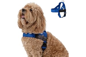 DOG FRIENDLY CO DF Co. Dog Harness | Chafe Resistant Webbing, Adjustable Neck & Chest, and Heavy Duty D-Ring | Sturdy, Comfortable, Easy to Use | Classic Blue, Size L
