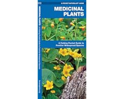 Medicinal Plants: A Folding Pocket Guide to Familiar Widespread Species (Outdoor Skills and Preparedness)