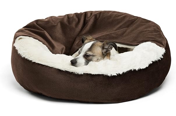 amazon best dog beds