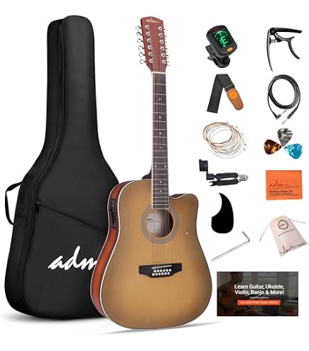 Amazon.com: Oscar Schmidt OD312CEWH-A OD312 12-String Acoustic