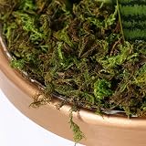 WINOMO Artificial Moss 60g Decorative Green Moss for DIY Landscaping view 6