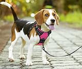 PoyPet No Pull Dog Harness Reflective Front Chest Clip Pink Small view 7