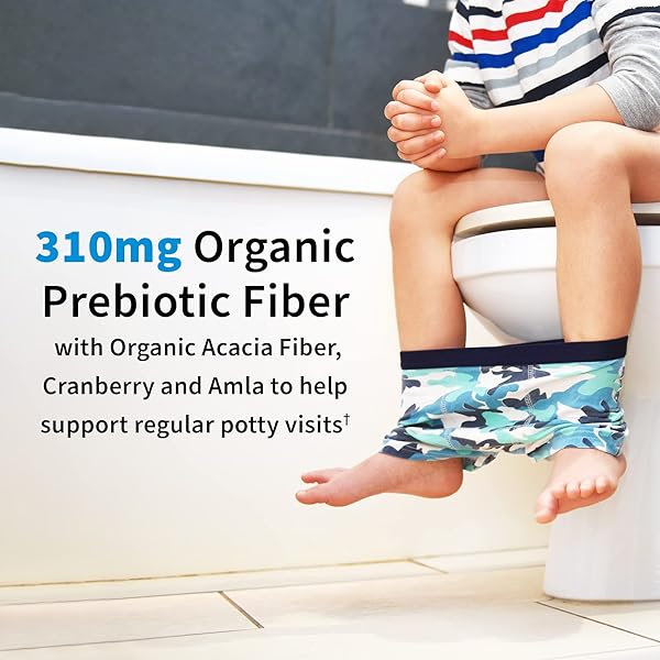 GARDEN OF LIFE KIDS PROBIOTICS, DR. FORMULATED PROBIOTICS ORGANIC KIDS+ VITAMIN C & D, STRAWBERRY BANANA, GLUTEN DAIRY & SOY FREE IMMUNE & DIGESTIVE HEALTH SUPPLEMENT, 30 CHEWABLES (SHELF STABLE)