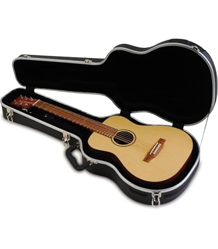 Amazon.com: Martin 12C0091 Case 3-Ply Hardshell Case : Musical
