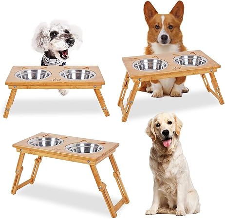 elevated dog bowl for golden retriever