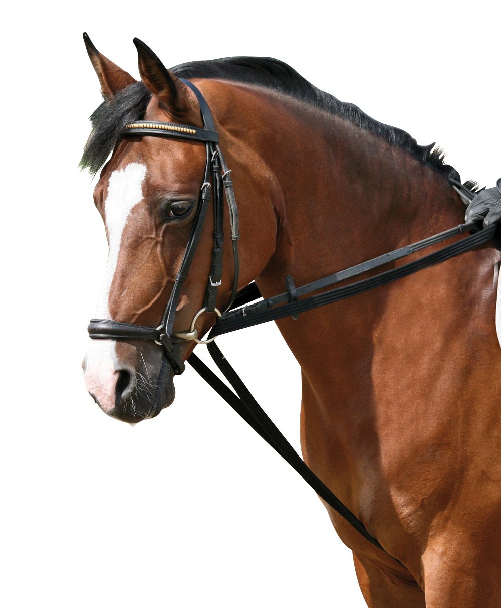 PFIFF 004239-60 Pony Pony Canvas German Reins black black Size:Pony
