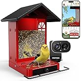 Richbird Smart Bird Feeder with Camera, 2.5K Ultra-HD Live Stream Bird House Camera, Free AI Identify Bird Species, Solar Powered Bird Feeder with 2.4L Large Capacity, Ideal Gift for Bird Lovers