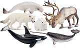toymany 12PCS Polar Animals Figurines Arctic Toy Set 4-19cm Kids view 9