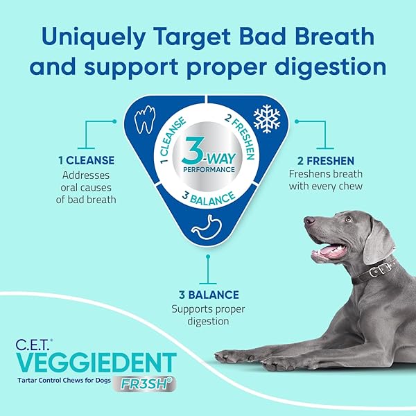 VIRBAC CET VEGGIEDENT FR3SH TARTAR CONTROL CHEWS FOR DOGS – SMALL