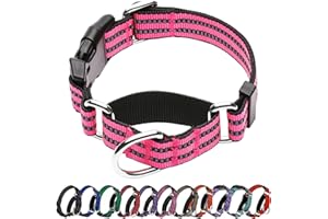 Hikiko Martingale Dog Collars Reflective Nylon Dog Collar with Quick Release Buckle Adjustable Training No Slip Dog Collar (Medium, Hot Pink)