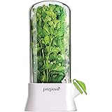 Prepara Herb Savor, Eco Version, Green