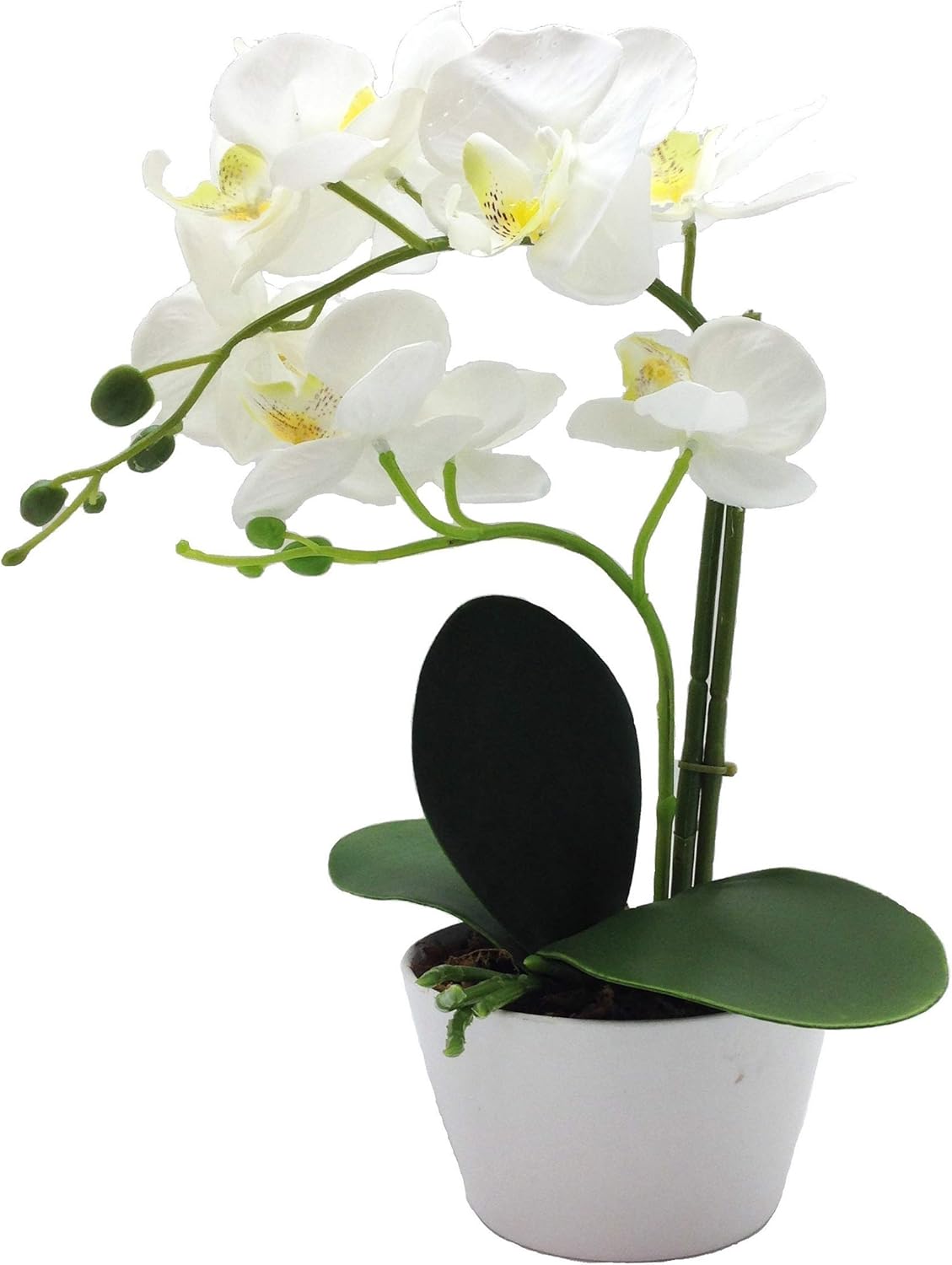 PEPPERLONELY Brand 13" H Artificial Ceramic Potted Plant Orchid, White