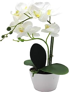 PEPPERLONELY Brand 13" H Artificial Ceramic Potted Plant Orchid, White