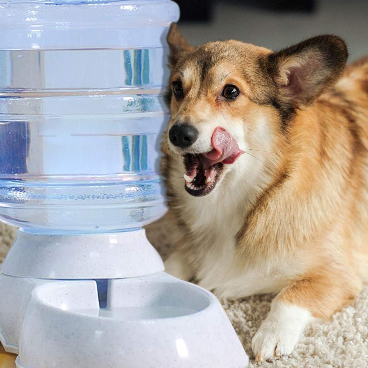 Pet Supplies : VaygWay Self Dispensing Pet Waterer – Automatic Gravity Dog Cat Waterer - Pet Water Dispenser Dogs Cats – Dog Water Bowl Water Dish – Automatic Water Bowl for Pets : 