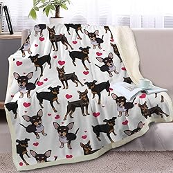 BlessLiving Red Hearts Dog Cat Print Plush Blanket