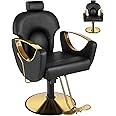 Hicomony Black Barber Chair Salon Chair for Hair Stylist, Reclining Hair Armchair for Hairdressers Hydraulic 360° Swivel Adjustable Headrest
