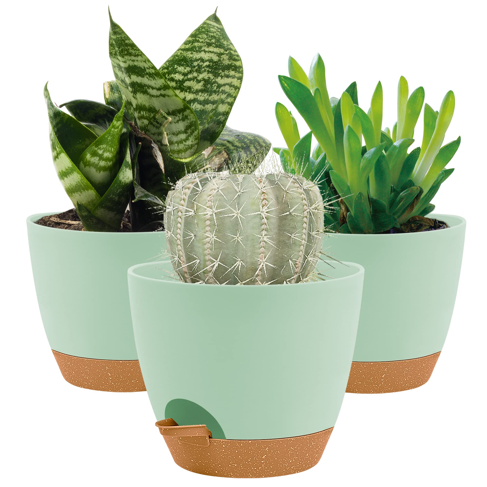 16.5CM Plant Pots Indoor,Self Watering Plant Pots of 3,Flower Pots with Drainage Holes and Trays,Decorative Modern Suitable for flowers,Snake Plant,Orchid,Lily,Aloe,Violet and House Plant(Green)