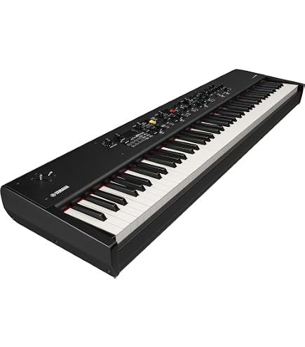 Amazon.com: Nord Stage 3 88-Key Digital Piano with Fully Weighted