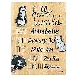 Cohas Hello World Newborn Baby Announcement Printed