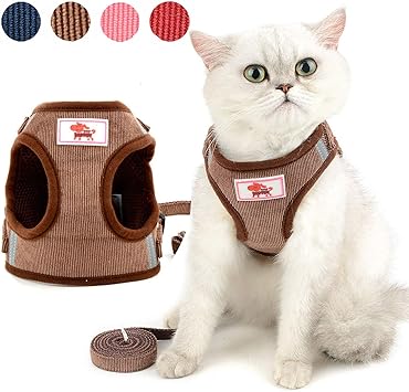 amazon cat harness and lead