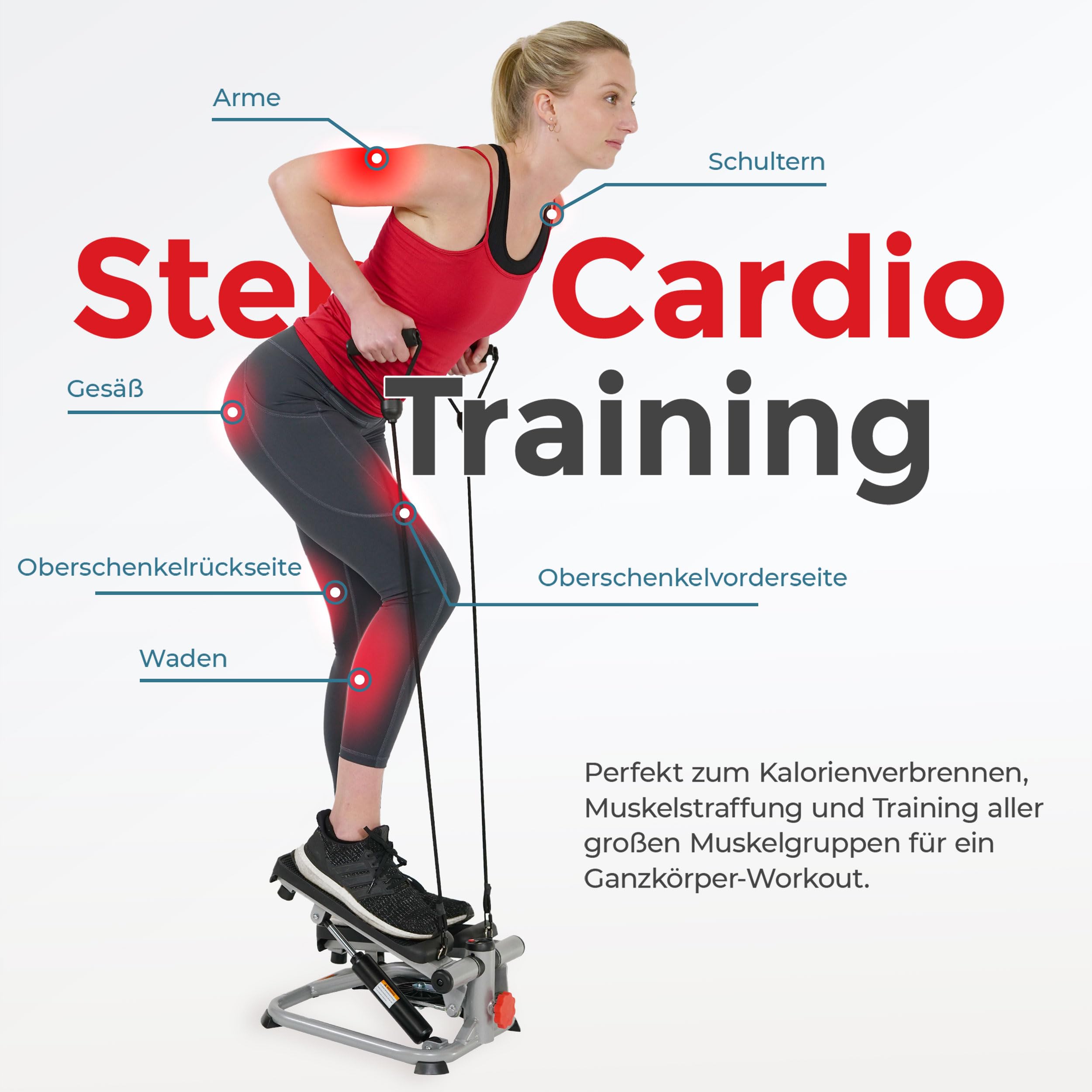 Sunny Health & Fitness Stepper für zuhause, Low-Impact Übung Stepper für Ganzkörpertraining mit Widerstandsbändern - SF-S0978 2