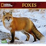 Red fox: The Catlike Canine (Smithsonian Nature Book): J David Henry