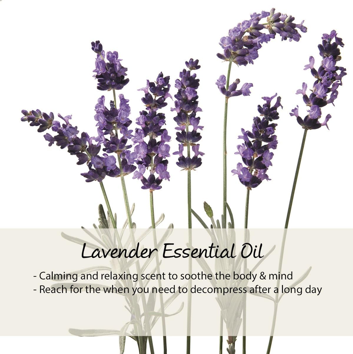 Kneipp Balancing (Lavender)Body Wash - Image 4