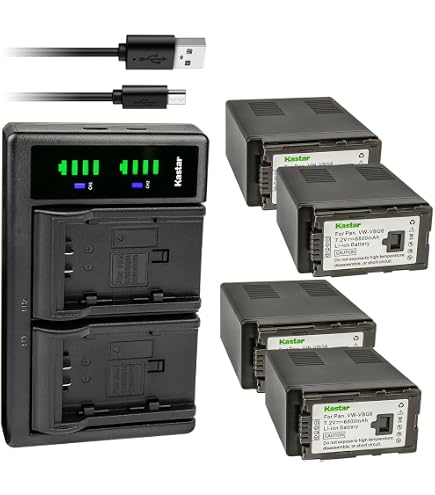 Amazon.com : Kastar Battery 4 Pack Replacement for Panasonic VW