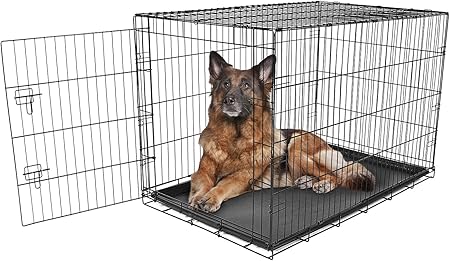 what's the most popular dog breed in the world