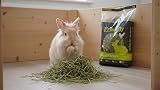 William Hunter Friendly ReadiGrass 1kg High Fibre For Rabbits & Guinea Pigs view 3