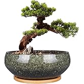 EPFamily 8 Inch Ceramic Bonsai Planter Pot, Glazed Shallow Succulent Planter with Drainage Hole and Bamboo Saucer for Indoor Plants, Brown