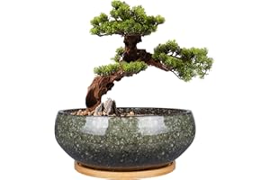 EPFamily 8 Inch Ceramic Bonsai Planter Pot, Glazed Shallow Succulent Planter with Drainage Hole and Bamboo Saucer for Indoor Plants, Brown