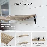 Mardili Shelves Wood Wall Mounted Shelf Rustic Set of 8 Light Brown view 3