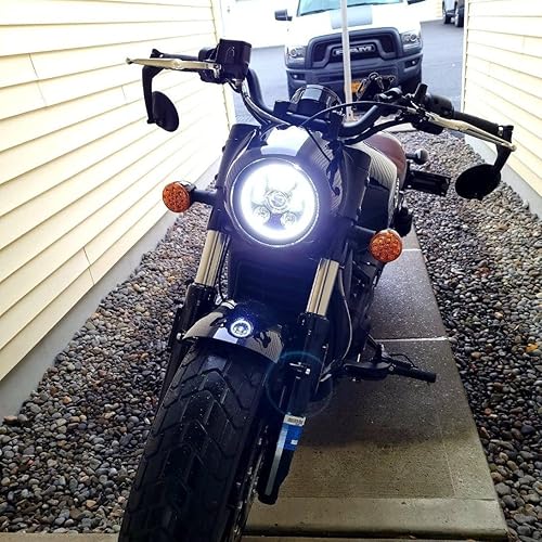 Eagle Lights 8900BG3H 3/4