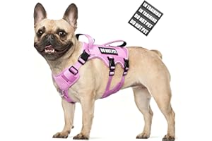 WINSEE Escape Proof Dog Harness, No Pull Reflective Harness with Double Handle, Adjustable Pet Vest with Front and Back Leash
