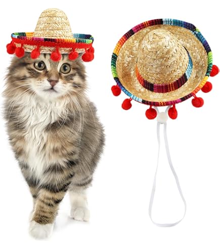 Sombrero Hat Mini Pet Straw Hat Cat Dog Birthday Party Sun Visor