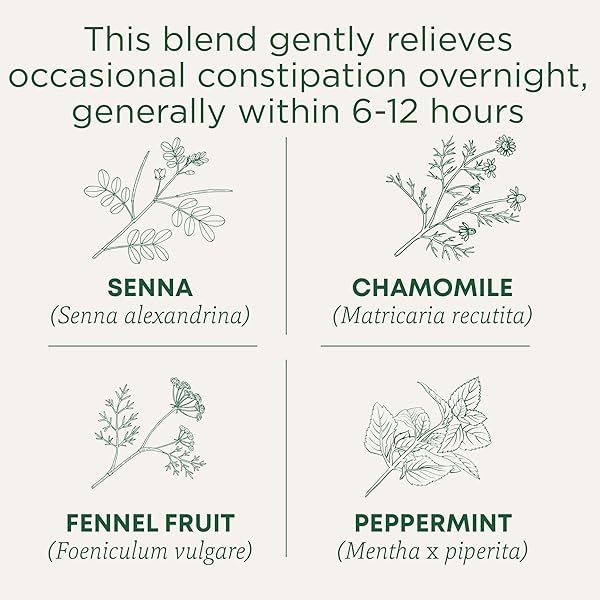 TRADITIONAL MEDICINALS ORGANIC, SMOOTH MOVE TEA, CHAMOMILE & SENNA – HELPS RELIEVE CONSTIPATION OVERNIGHT – KOSHER, NON-GMO, CAFFEINE-FREE, COMPOSTABLE – 16 TEA BAGS