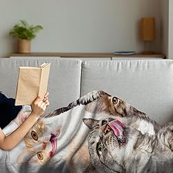 Ambesonne Kittens Throw Blanket, Licking Cats with
