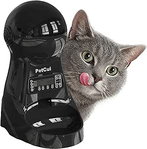 french bulldog and bichon mix