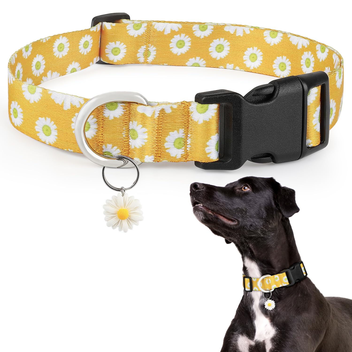 Ayaseen Girl Dog Collar Large Dogs, Yellow Flower Dogs Collar with Daisy Charm, Cute Dog Collar Medium for Male Females - Yellow, L