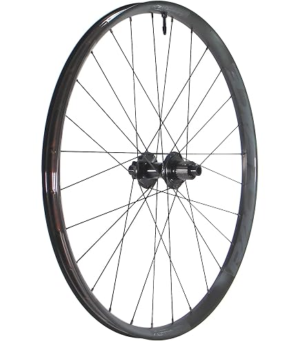 Amazon.com : DT Swiss F 1900 Classic Rear Wheel - 29